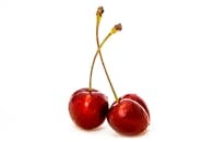 Close-up shot of two ripe red cherries with water droplets on a white background.